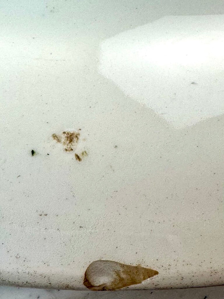 "Indian Tree" Oval Plate in Stand - Acosta's Home