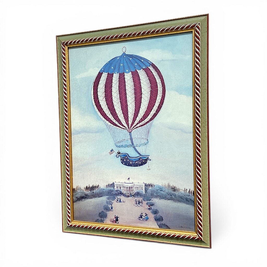 American Hot Air Balloon Framed Print - Acosta's Home