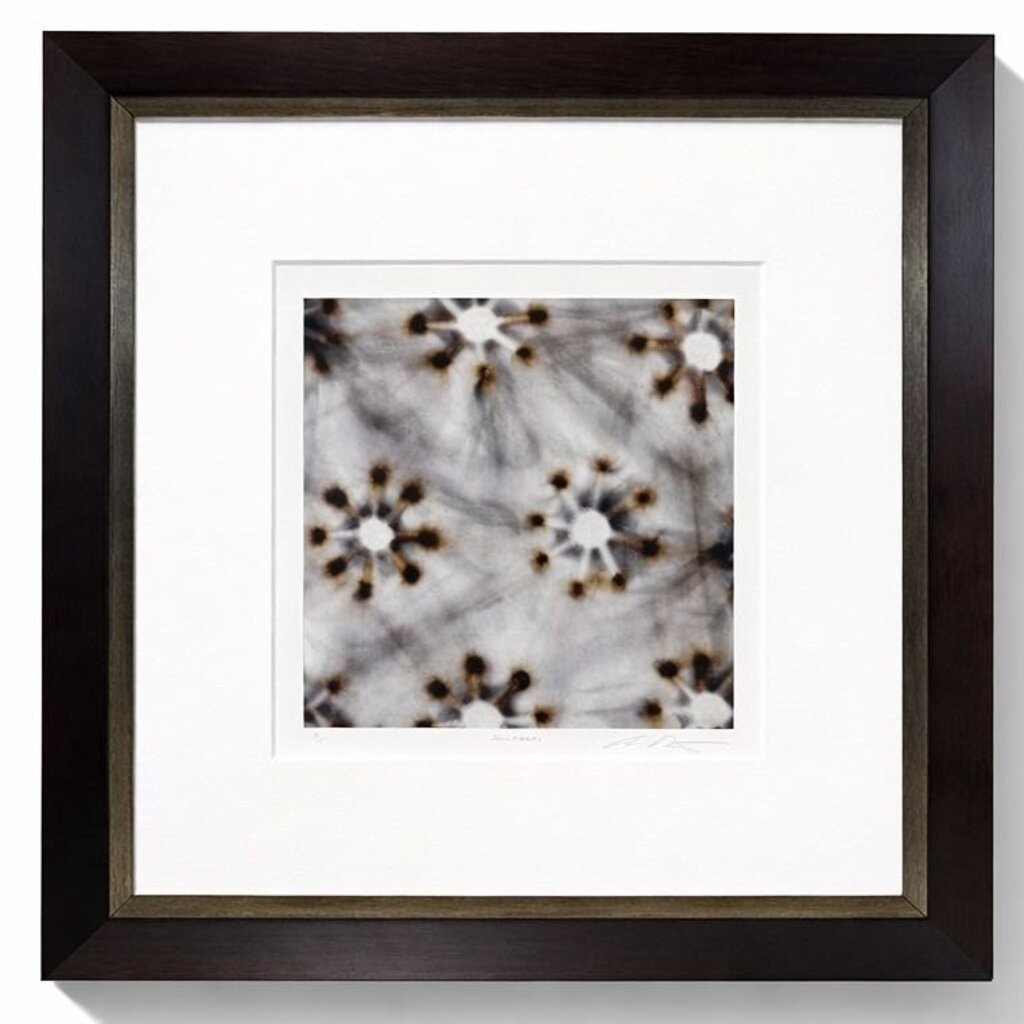 Snowflakes Photo Art - Acosta's Home