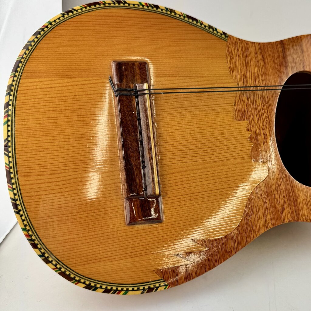 Andrean Stringed Instrument
