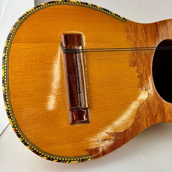 Andrean Stringed Instrument