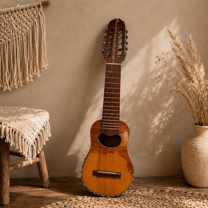 Andrean Stringed Instrument