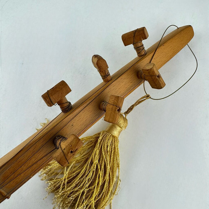 Baglama Turkish String Instrument