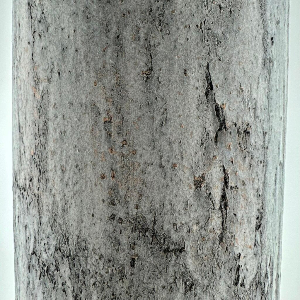 Textured Terracotta Tall Vase