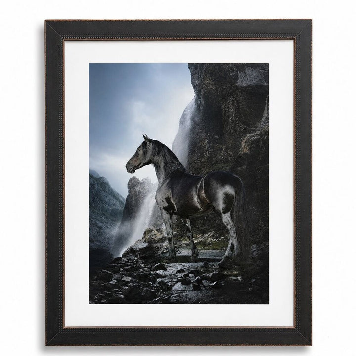 Black Stallion Framed Poster