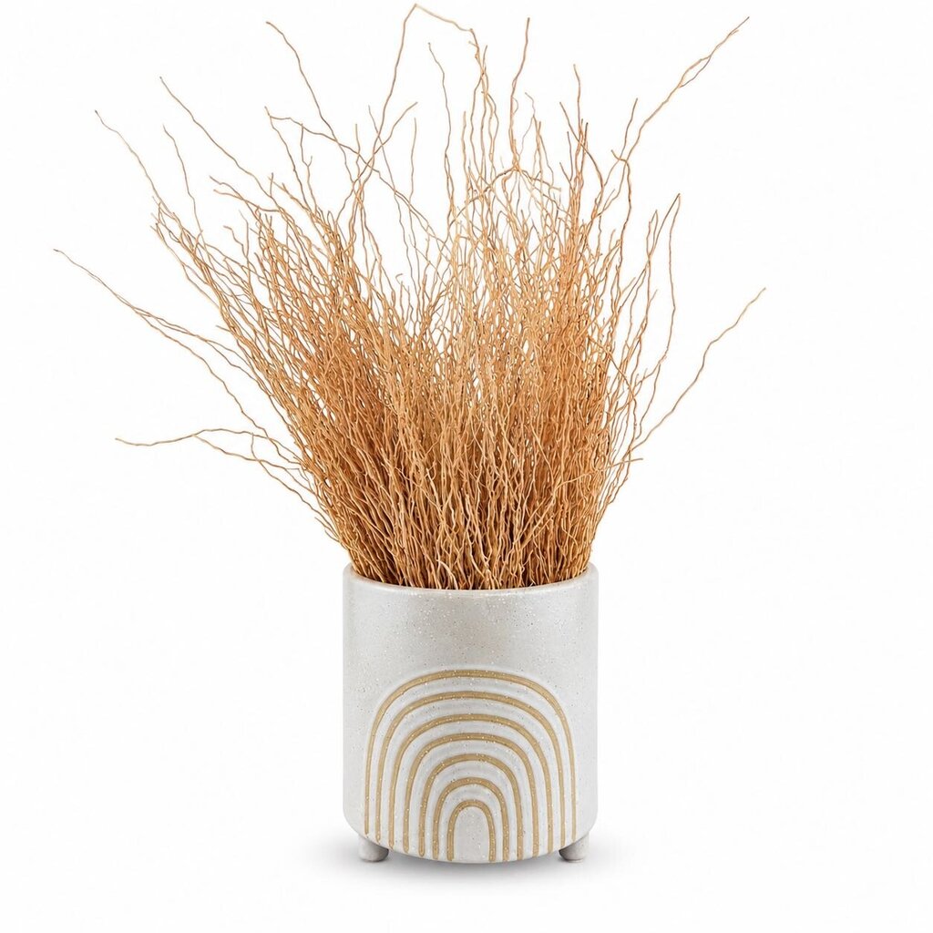 Planter With Sticks