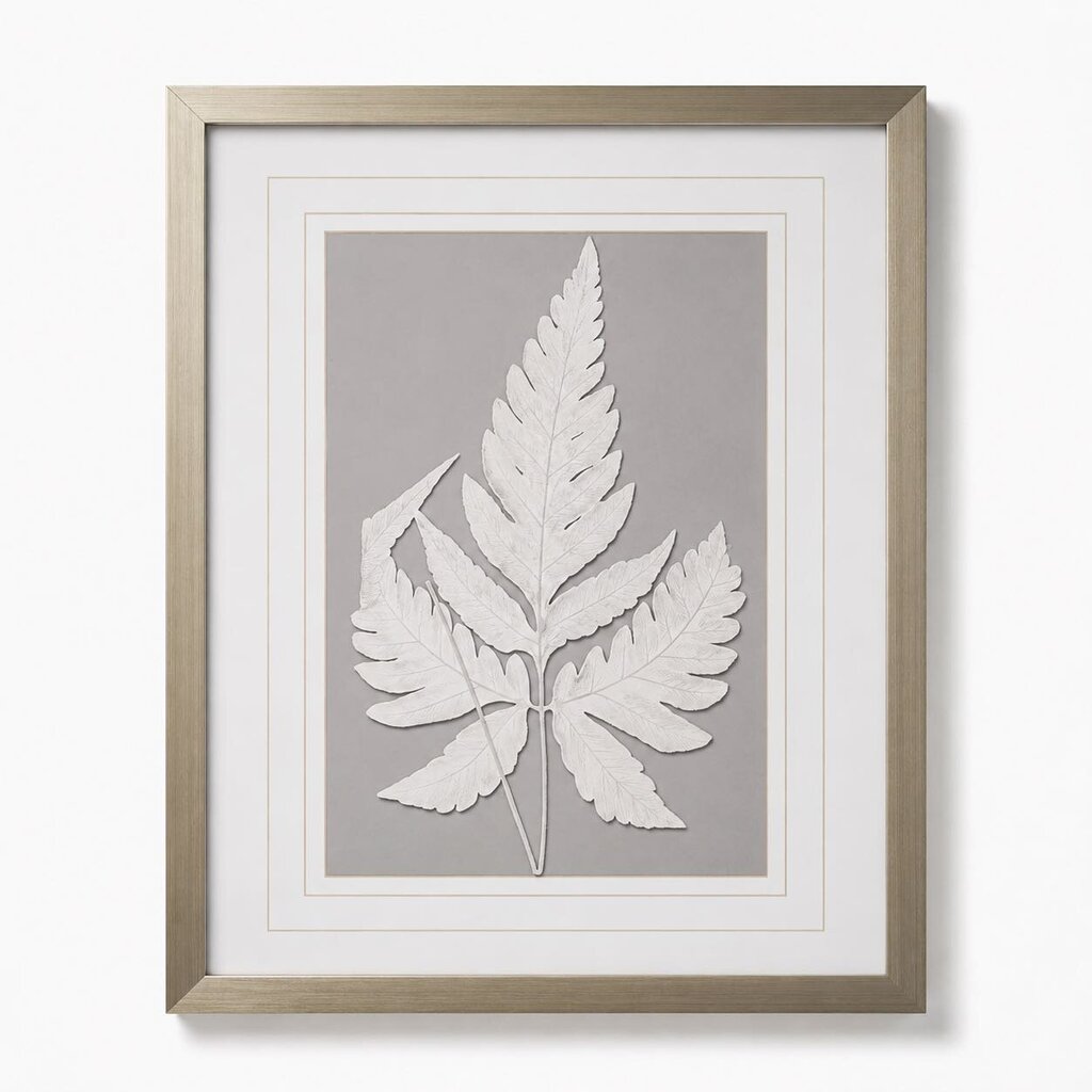 Botanical Framed Print