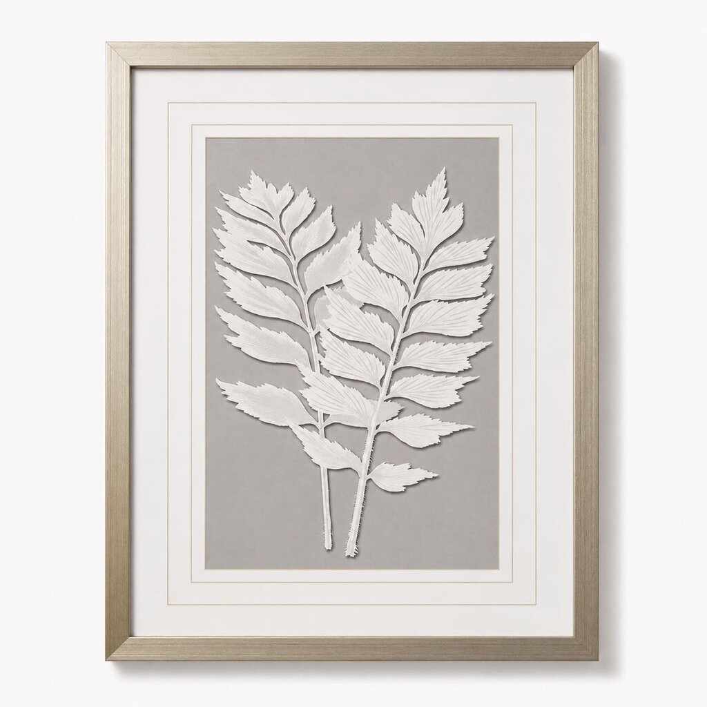 Botanical Framed Print