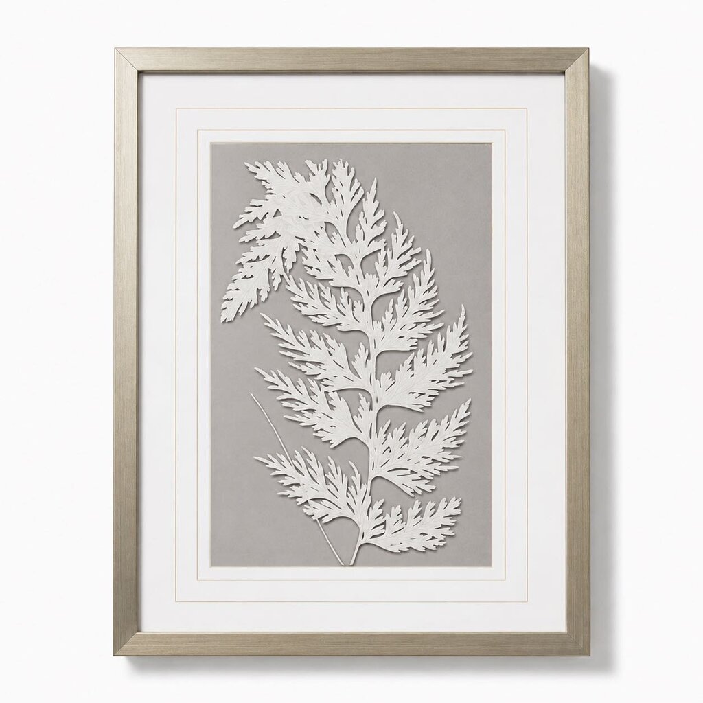Botanical Framed Print