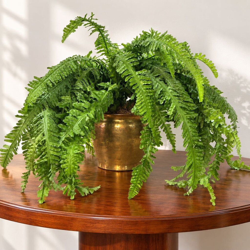 Orig. Price $135 - Fern in Brass Planter