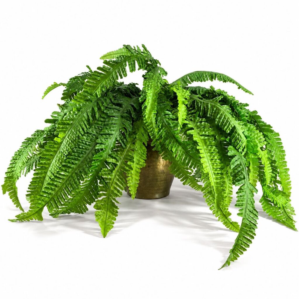 Faux Fern in Brass Planter