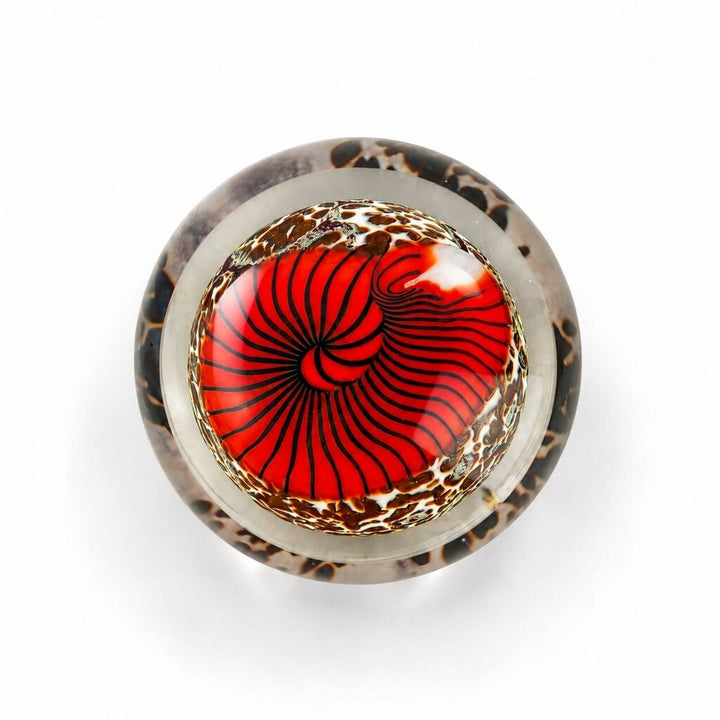 Glass Ammonite Paperweight